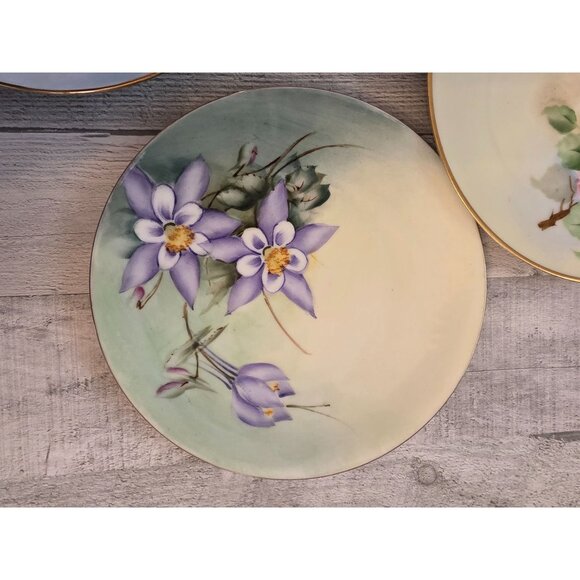 Bavarian Set Of 3 Hand Painted Floral Decorative Plates - Picture 3 of 9